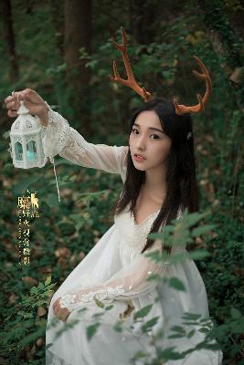 完美世界在线观看