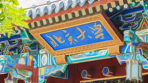 北京大學區(qū)域經濟發(fā)展與中國企業(yè)家高端研修班（二期）